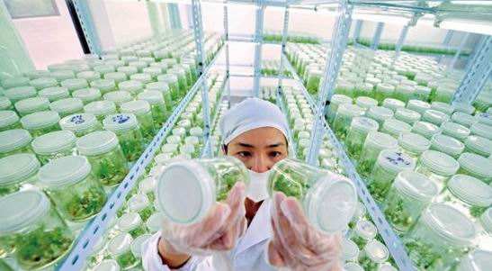 农业生物技术赛项说明
