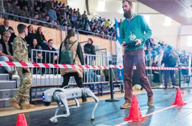 匈牙利四足机器人编程挑战赛在赫维什州埃格尔成功举办